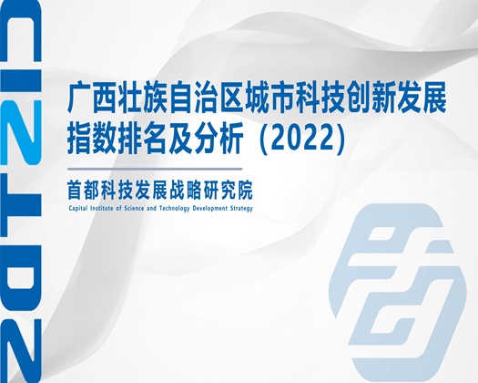 嫩穴黑鸡巴操嫩逼视频【成果发布】广西壮族自治区城市科技创新发展指数排名及分析（2022）